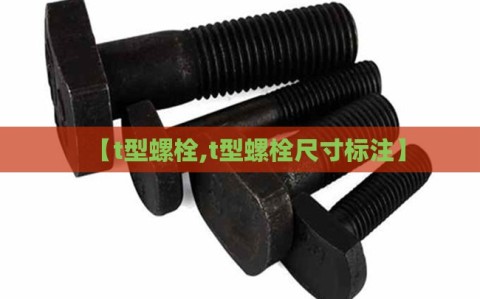 【t型螺栓,t型螺栓尺寸标注】