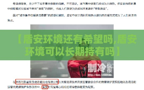 【盾安环境还有希望吗,盾安环境可以长期持有吗】